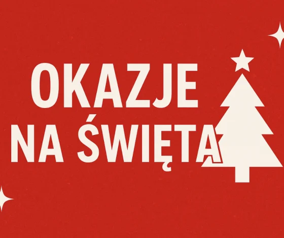 Okazje na Święta – wyjątkowe promocje w Akumulatory Specpart!
